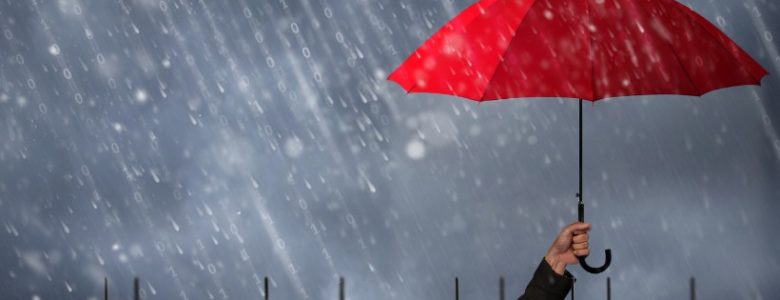 partners in risk